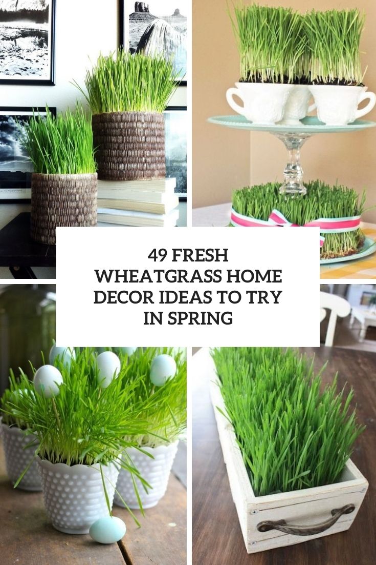 49 Fresh Wheatgrass Home Décor Ideas To Try In Spring