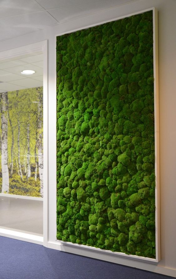 a framed moss wall is a cool and refreshing idea for a modern space, it's very bold and very trendy