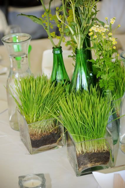 a fresh spring centerpiece with wheatgrass in sheer square vases, bottles with wildflowers is living and cool