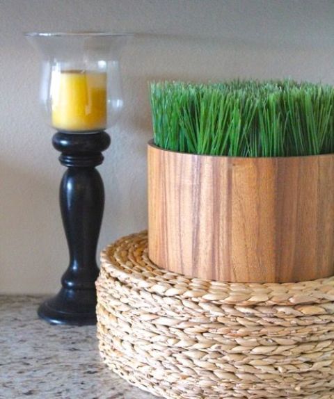 a simple and modern plywood planter with wheatgrass is a lovely spring decoration to rock