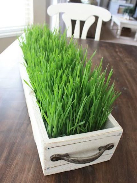 a white wooden box planter with wheatgrass and handles is a lovely and cool fresh farmhouse decoration