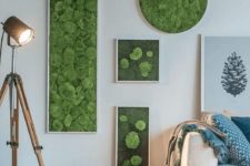 an arrangement of moss wall art pieces in frames, in various shapes for a fresh and modern look