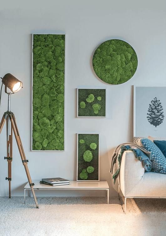an arrangement of moss wall art pieces in frames, in various shapes for a fresh and modern look
