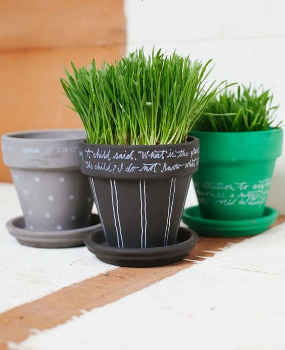 painted and chalkboard pots with wheatgrass are lovely and cheerful for spring, make some yourself
