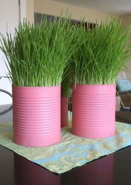 pink tin cans with wheatgrass will form a bold and cool spring centerpiece or decoration