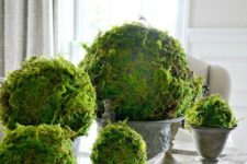 vintage urns with giant moss balls are great to decorate any room with a vintage feel