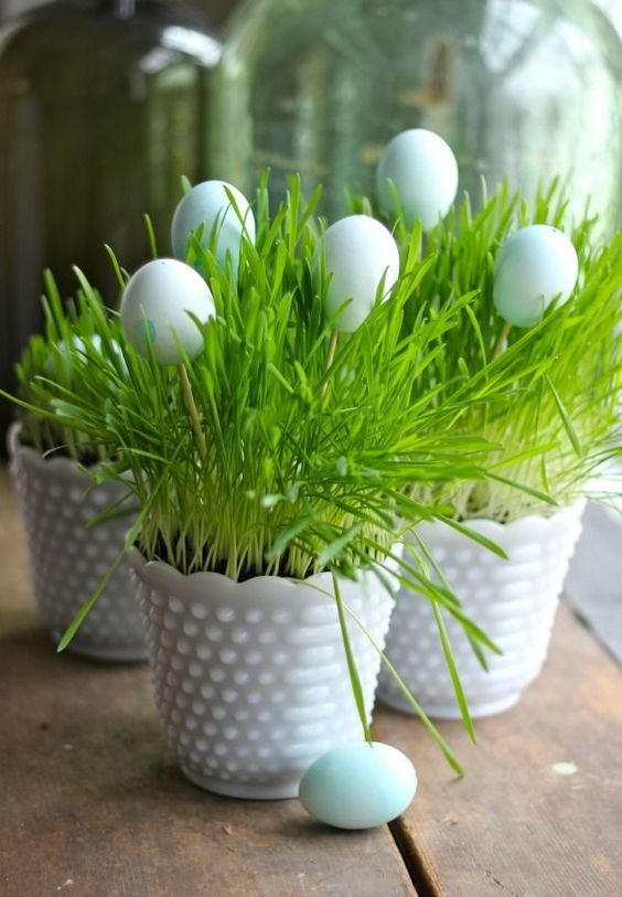 white milk planters with wheatgrass and some fake eggs for Easter or just for spring are a cute idea