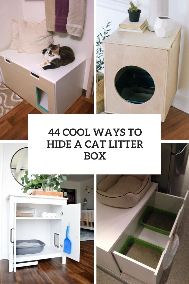 44 Cool Ways To Hide A Cat Litter Box