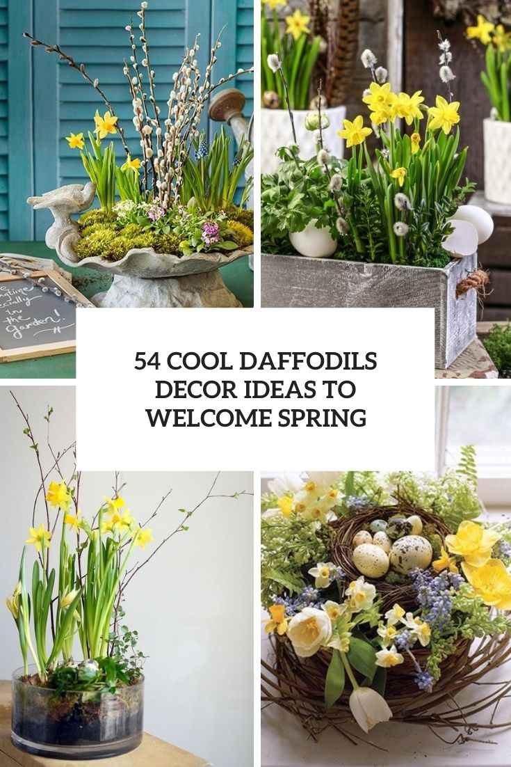 54 Cool Daffodils Décor Ideas To Welcome Spring