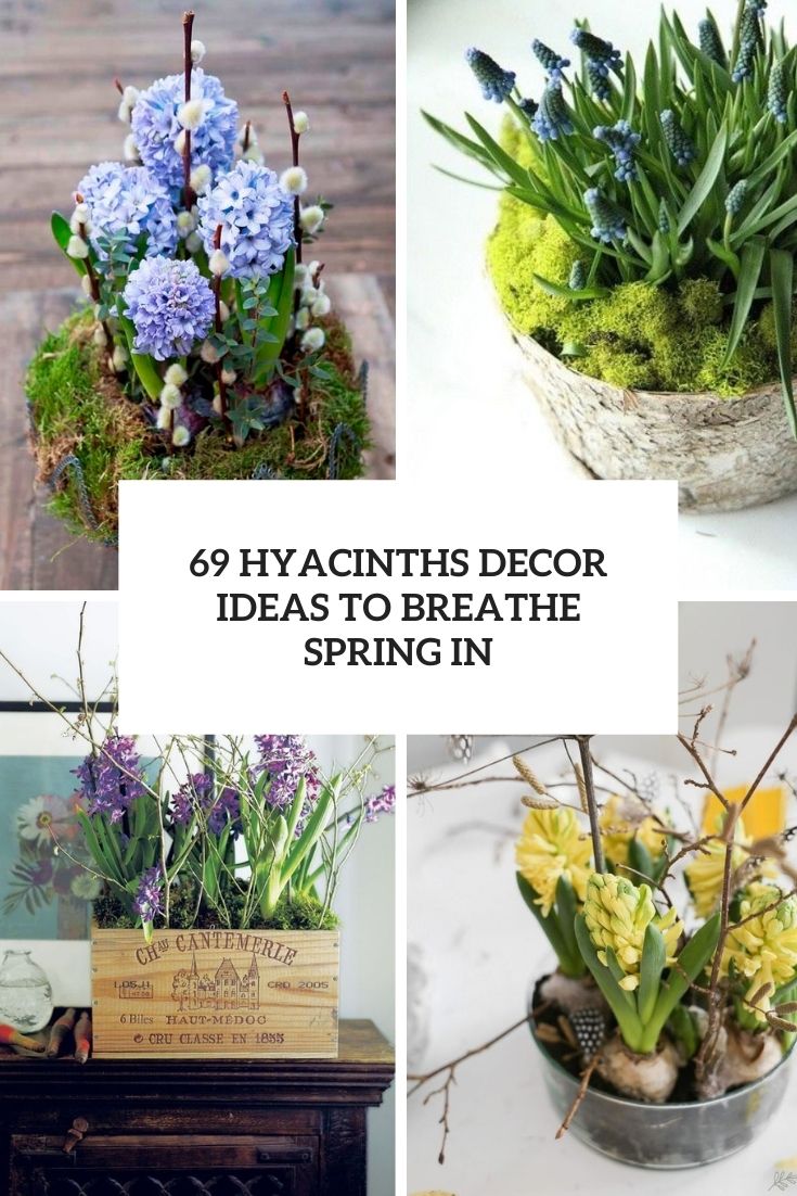 69 Hyacinths Décor Ideas To Breathe Spring In