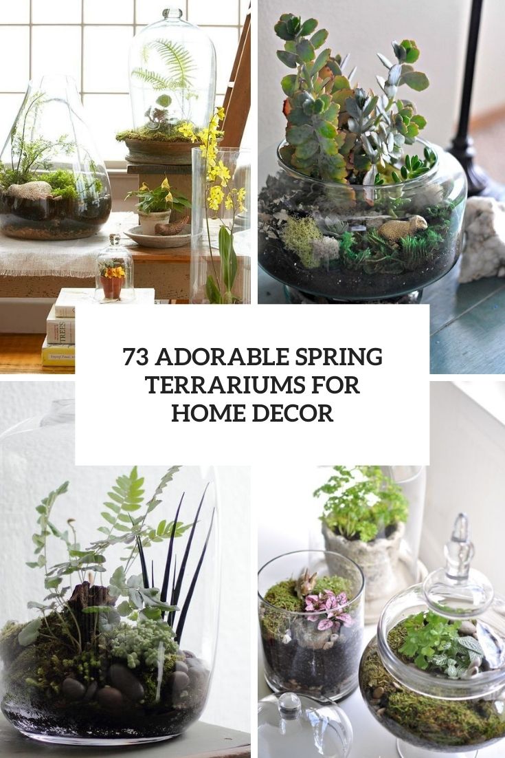 adorable spring terrrarims for home decor