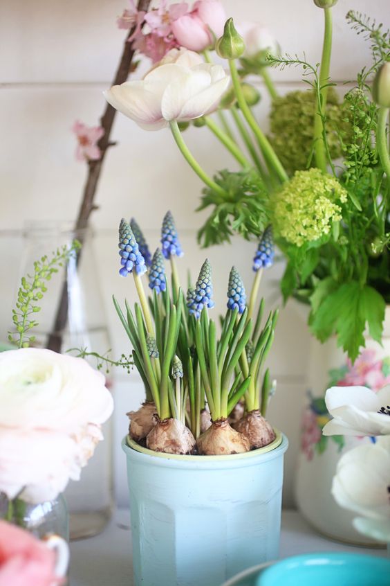 a blue planter with blue hyacinths is a lovely spring decoration to refresh your space easily
