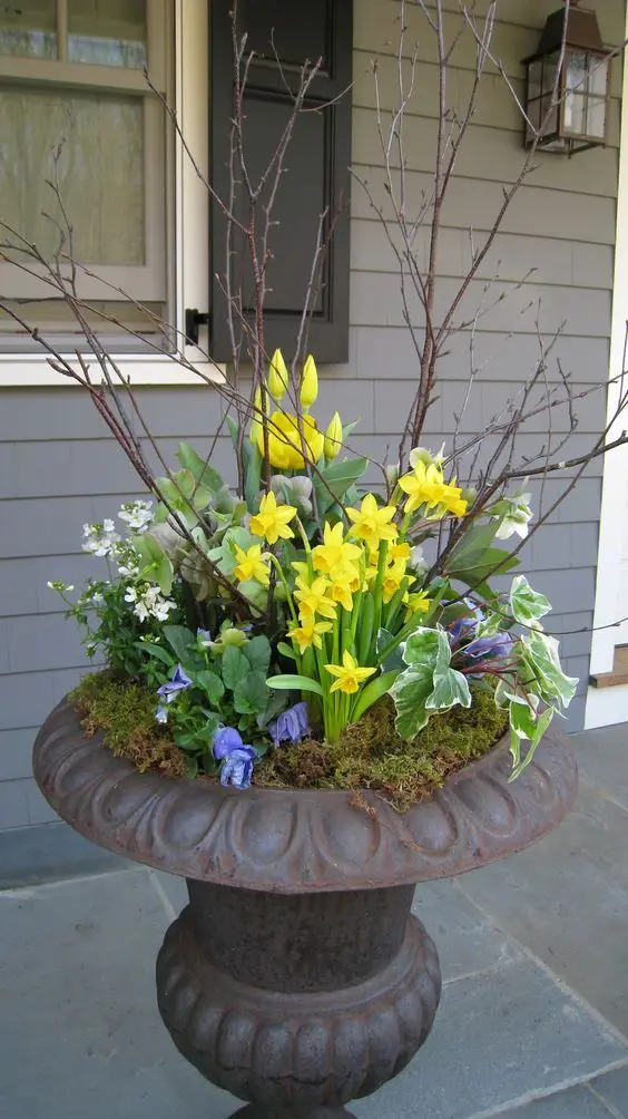 a bold spring outdoor decoration of a large urn with daffodils, various blooms, branches and moss is cool