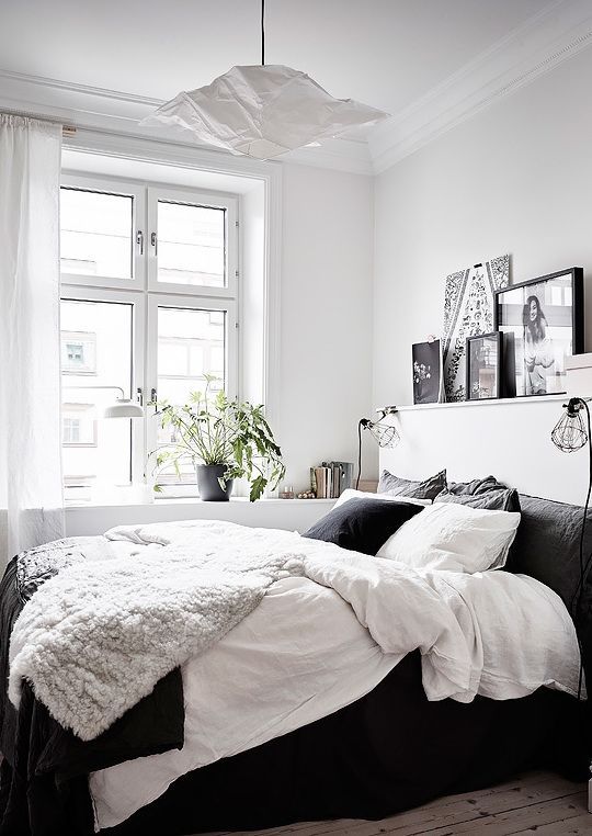 a contrasting bedroom wiht a black bed, open shelves, a potted plant and a pendant paper lamp