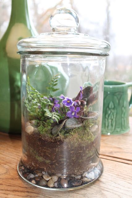 a glass jar with greenery, moss, purple blooms and pebbles is a lovely spring or summer terrarium
