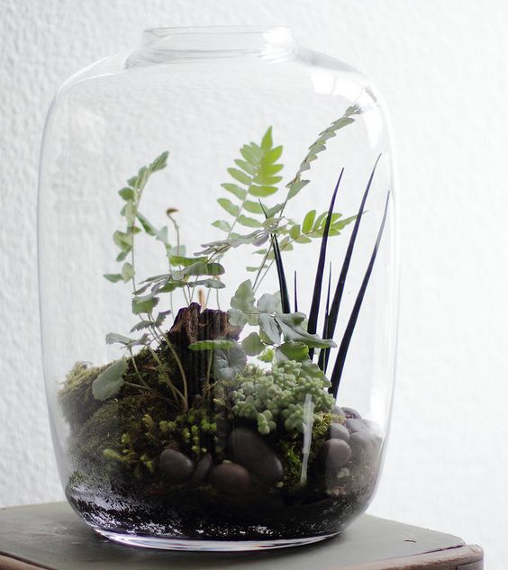 a glass jar with greenery, pebbles and driftwood looks very natural and feels like woodlands in spring