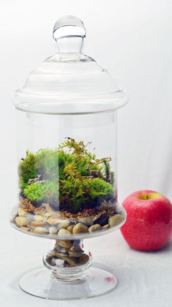 a glass jar with pebbles, moss and fern is a lovely idea of a terrrarium, for spring, summer or fall