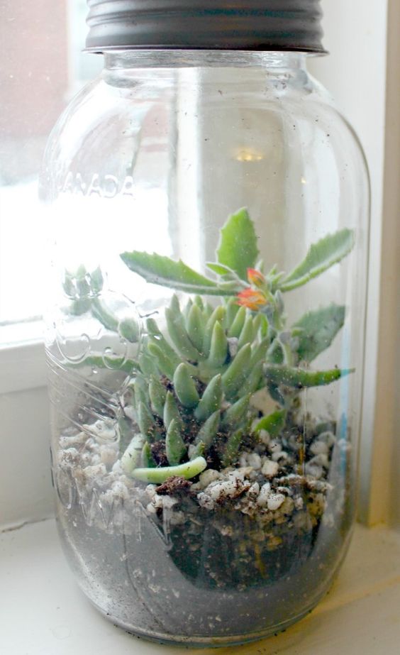A jar with pebbles and small succulents is a cool and chic idea for a modern space and it feels very spring like
