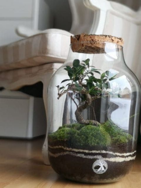a large jar with moss balls and a mini treee is a lovely idea of a spring decoration or centerpiece