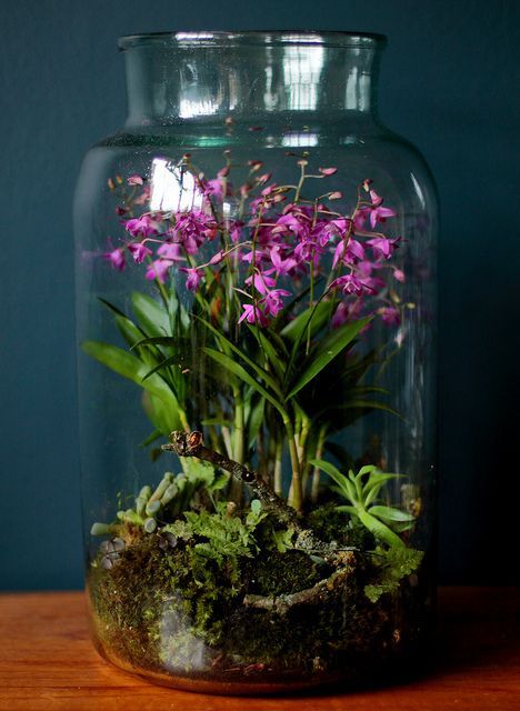 A large jar with moss, ferns and bold pink blooms is a pretty idea for a spring inspired space and feels natural