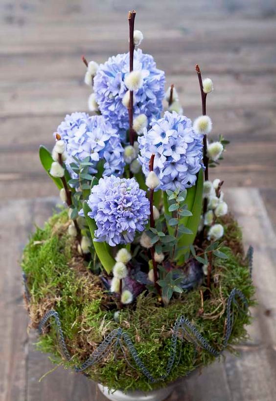 a moss ball with willow, blue hyacinths and greenery is a creative spring decoration for indoors and outdoors
