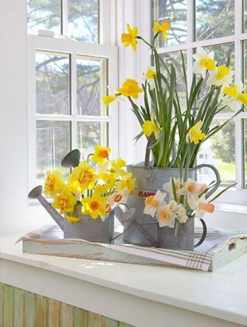 a rustic decoration for spring - a tray with galvanized watering cans and daffodils is a lovely idea for a rustic spring space