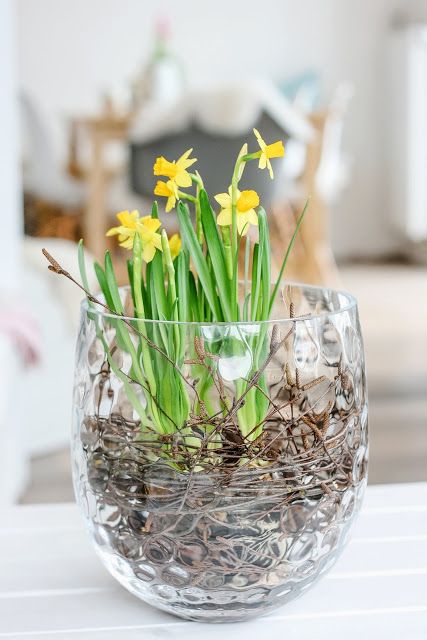 a sheer vase with vine and daffodils is a lovely and easy spring decoration for any space