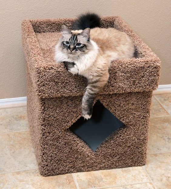 a small fluffy box with a cat litter box inside and cat bed on top is a timeless solution loved by many cats