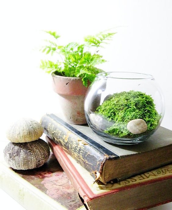 a small terrarium with greenery and pebbles is a cool idea for a spring-inspired space