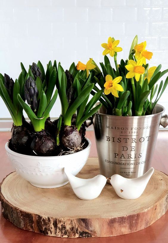 a spring centerpiece of a wood slice, birds, a bowl with hyacinths and a galvanized bucket with daffodils is wow