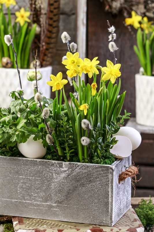 a spring centerpiece of a wooden box, willow, daffodils, fake eggs is a gorgeous idea for a spring space