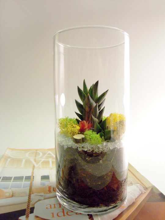 a tall vase with wood, moss, pebbles and a succulent is a pretty spring decoration to make yourself