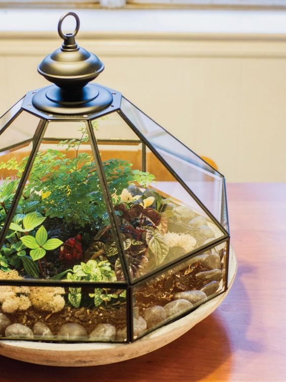 a terrarium with pebbles, moss, greenery and colorful plants will bring a vintage spring feel to the space
