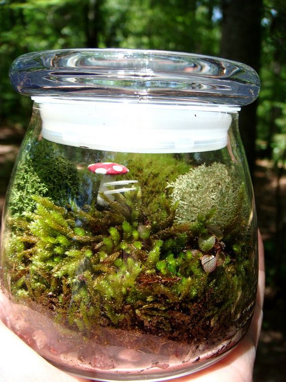 a terrarium with various kinds of moss and a bright mushroom is a lovely idea to add a woodland feel to the space