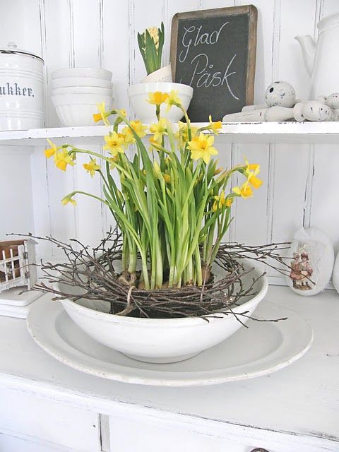 a vintage rustic decoration of a bowl, a tray with daffodils and vine is a lovely vintage decoration for any space