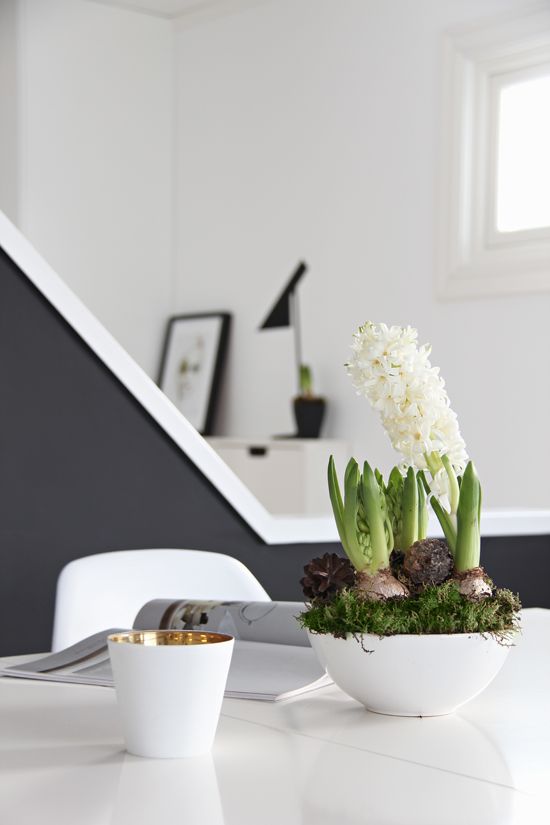 a white bowl with moss and white hyacinths is a lovely Scandinavian decoration for spring