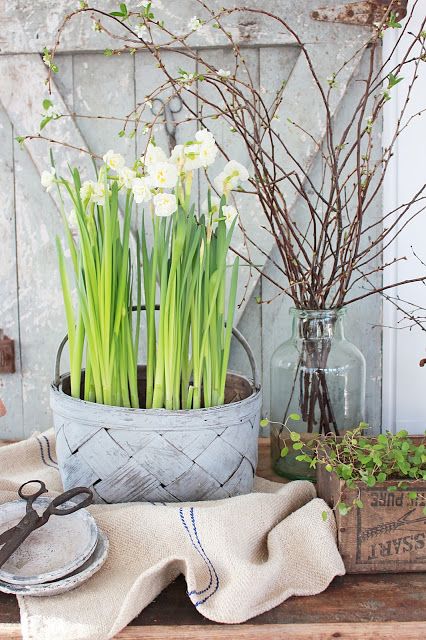 a whitewashed basket with daffodils will give a fresh rustic touch to your space and will make it feel like spring