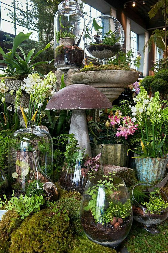 a whole arrangement of terrariums with greenery, pebbles, driftwood and other stuff is great for spring