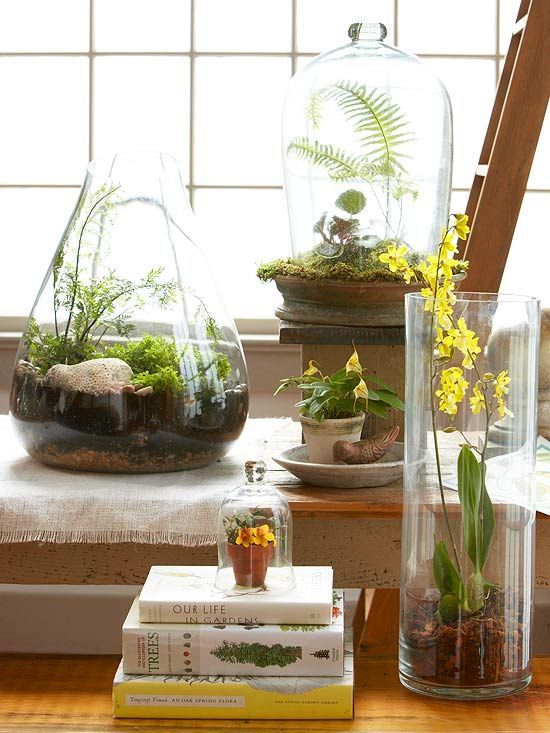 an arrangement of various glass vases with greenery, moss, blooms, ferns and pebbles will turn your space into a spring one