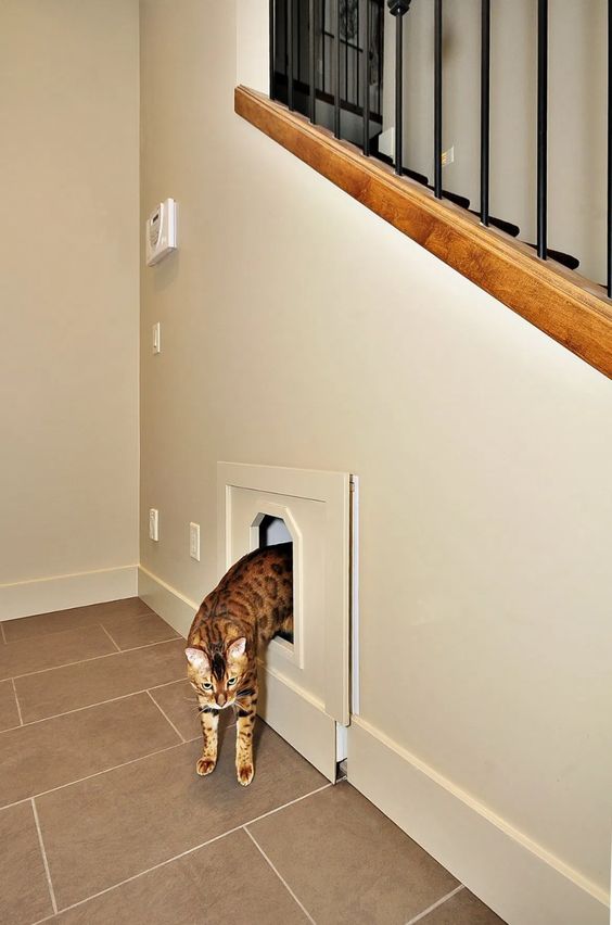 build in a cat litter box into your staircase space, it can be a drawer that is to pull out for cleaning