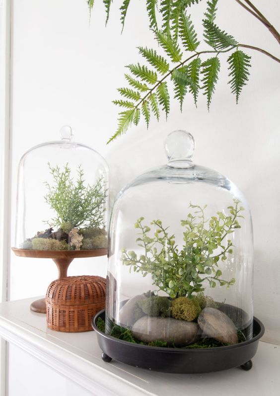 cloche terrariums with moss, grass, rocks and green plants add a fresh spring touch to the space