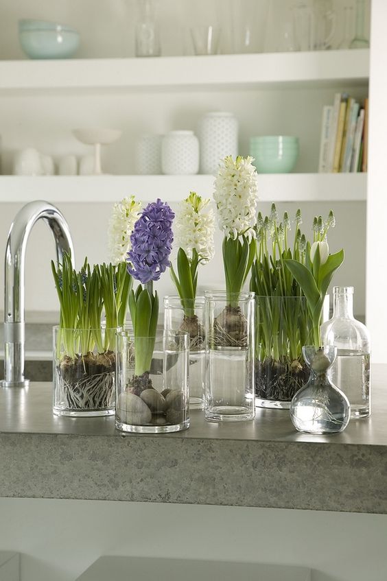 glasses with white and purple hyacinths is a lovely idea of a cluster centerpiece or just decoration