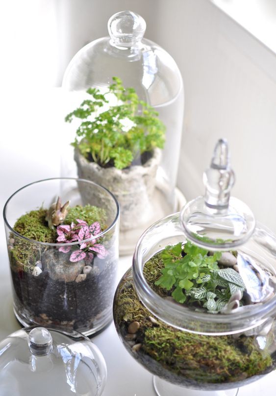 Jars and a cloche with moss, greenery, pebbles and bunnies are amazing for a spring inspired space