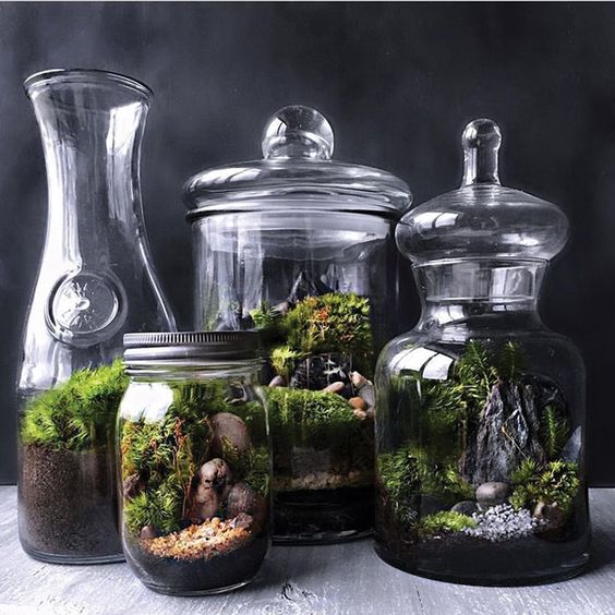 jars and carafes with moss, pebbles, rocks and twigs show off woodlands in the spring