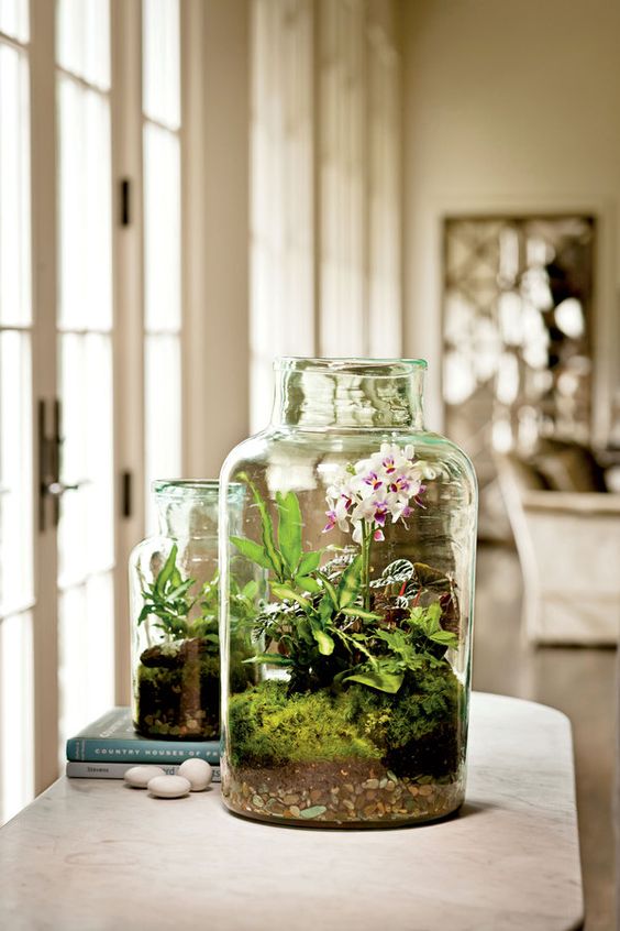 jars with moss, greenery and orchids are lovely for spring decor, they bring a slight spring touch to the space