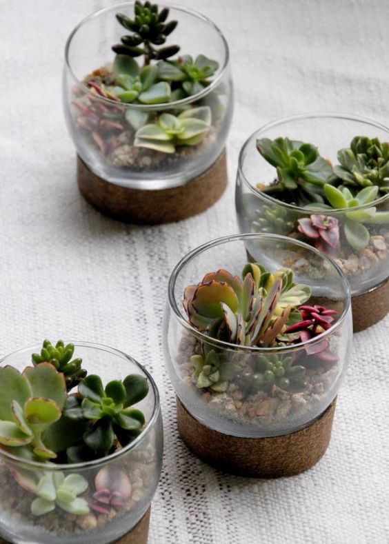mini glass terrariums with succulents in various colors and pebbles are great to refresh the space