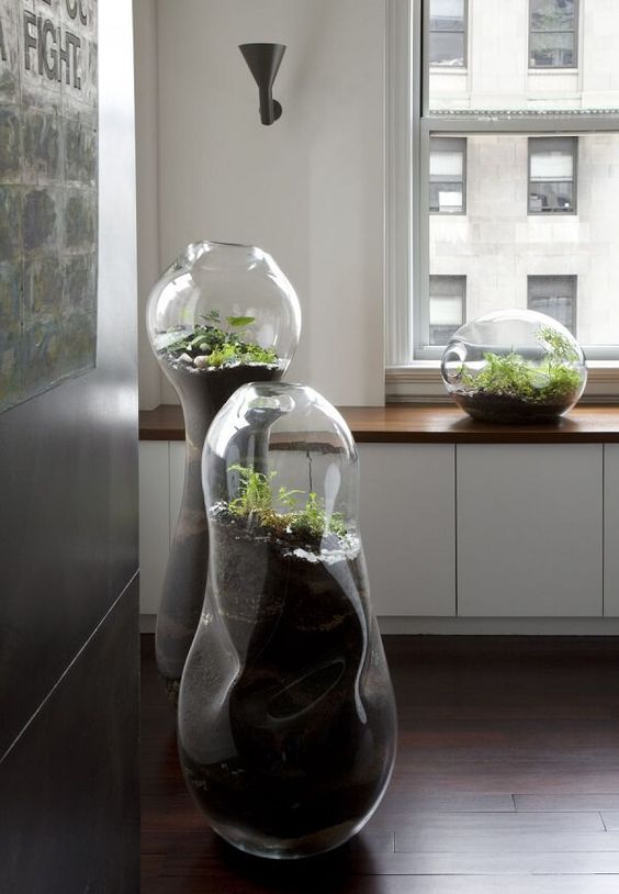 oversized modern terrariums with greenery and pebbles will make your space look really unusual and cool