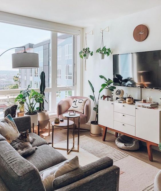 a small boho living room with a grey sofa, a pink chair, a glazed wall, potted plants and a white TV unit