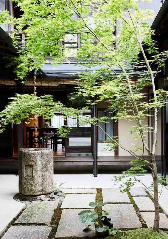 a Japanese courtyard with stone tiles, greenery, a stone bowl and a tree is a dreamy space that relaxes