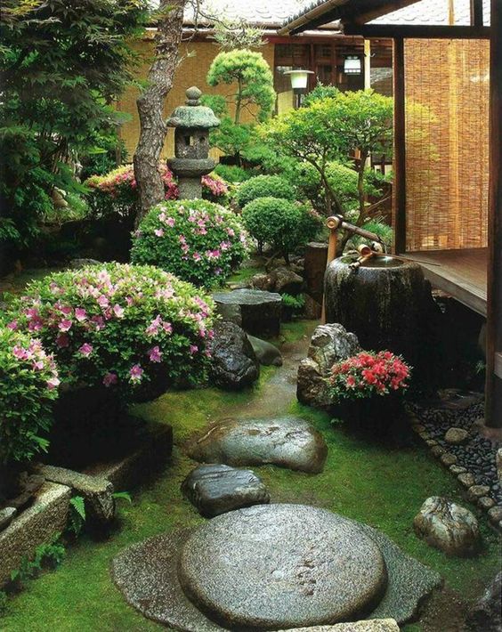 a beautiful Japanese garden with grass, rocks, blooms, a bamboo fountain and a stone lantern plus some low trees